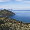 Agriturismo a Scansano in Maremma